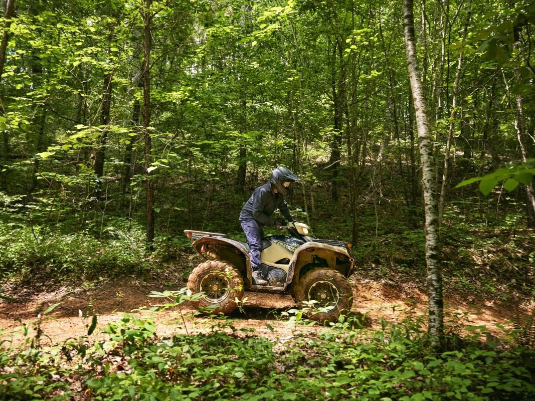 2024 Yamaha Kodiak 700 EPS SE in Spencerport, New York - Photo 11