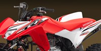 2016 Honda TRX®250X SE in Spencerport, New York