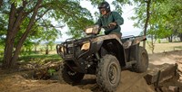 2016 Honda FourTrax® Foreman® 4x4 in Spencerport, New York
