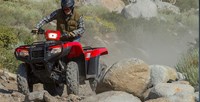 2016 Honda FourTrax® Foreman® 4x4 in Spencerport, New York
