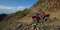 2016 Honda FourTrax® Foreman® 4x4 in Spencerport, New York