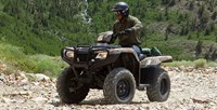 2016 Honda FourTrax® Foreman® 4x4 in Spencerport, New York