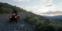 2016 Honda FourTrax® Foreman® 4x4 in Spencerport, New York
