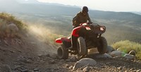 2016 Honda FourTrax® Foreman® 4x4 in Spencerport, New York