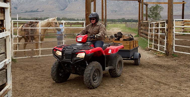 2016 Honda FourTrax® Foreman® 4x4 ES Power Steering in Spencerport, New York