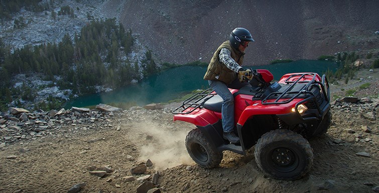 2016 Honda FourTrax® Foreman® 4x4 ES Power Steering in Spencerport, New York