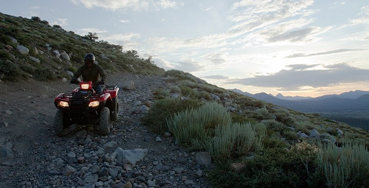 2016 Honda FourTrax® Foreman® 4x4 ES Power Steering in Spencerport, New York