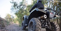 2016 Honda FourTrax® Foreman® Rubicon® 4x4 Automatic DCT EPS in Spencerport, New York