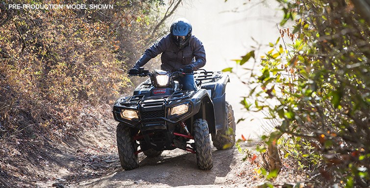 2016 Honda FourTrax® Foreman® Rubicon® 4x4 Automatic DCT EPS in Spencerport, New York