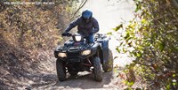 2016 Honda FourTrax® Foreman® Rubicon® 4x4 Automatic DCT EPS in Spencerport, New York
