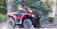 2016 Honda FourTrax® Foreman® Rubicon® 4x4 Automatic DCT EPS in Spencerport, New York