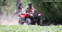 2016 Honda FourTrax® Foreman® Rubicon® 4x4 Automatic DCT EPS in Spencerport, New York