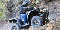 2016 Honda FourTrax® Foreman® Rubicon® 4x4 Automatic DCT EPS in Spencerport, New York