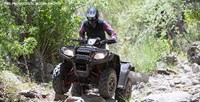 2016 Honda FourTrax® Foreman® Rubicon® 4x4 Automatic DCT EPS in Spencerport, New York