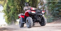 2016 Honda FourTrax® Foreman® Rubicon® 4x4 EPS in Spencerport, New York