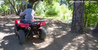 2016 Honda FourTrax® Rancher® 4x4 ES in Spencerport, New York