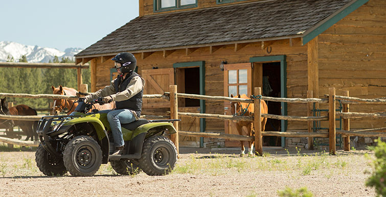 2016 Honda FourTrax® Recon® in Spencerport, New York