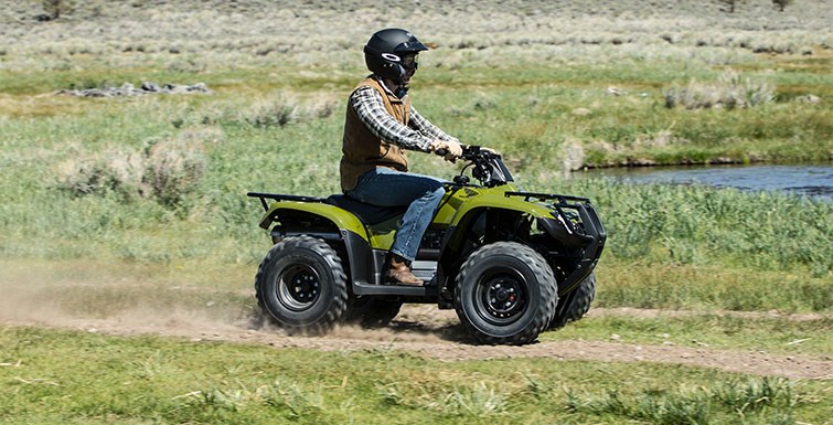 2016 Honda FourTrax® Rincon® in Spencerport, New York