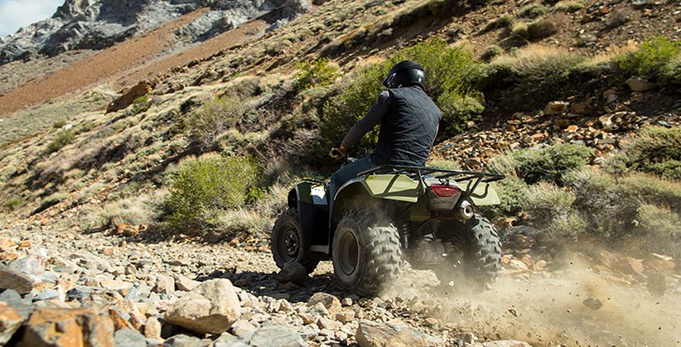 2016 Honda FourTrax® Rincon® in Spencerport, New York