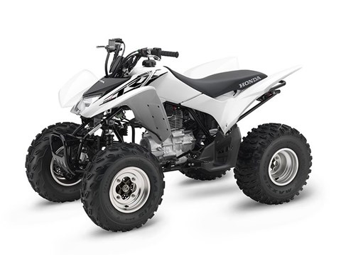 2017 Honda TRX250X in Spencerport, New York