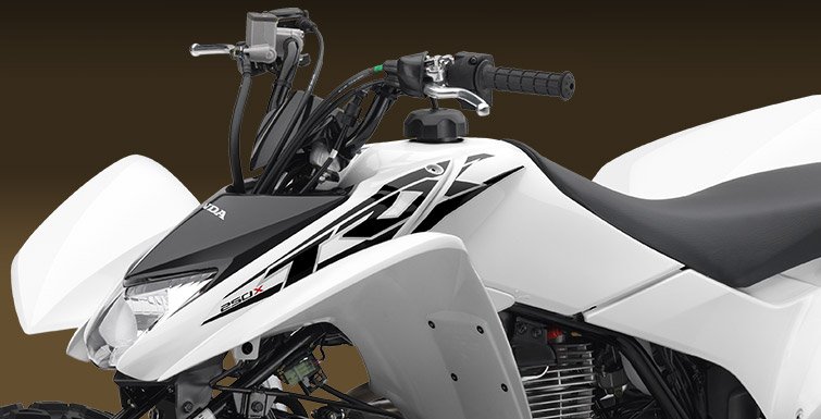 2017 Honda TRX250X in Spencerport, New York