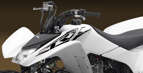 2017 Honda TRX250X in Spencerport, New York