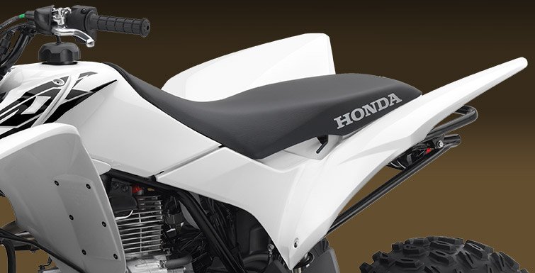 2017 Honda TRX250X in Spencerport, New York