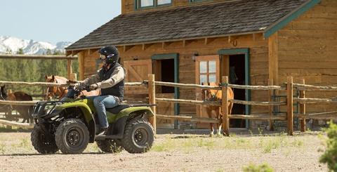 2017 Honda FourTrax Recon in Spencerport, New York