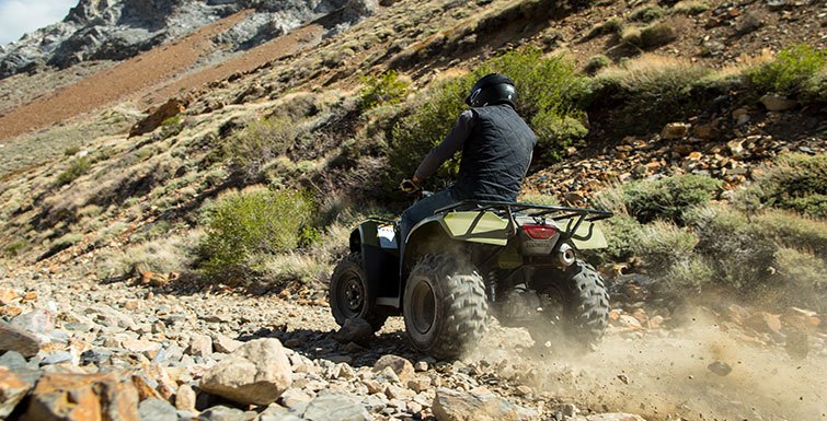 2017 Honda FourTrax Recon in Spencerport, New York