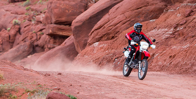 2019 Honda XR650L in Spencerport, New York - Photo 4