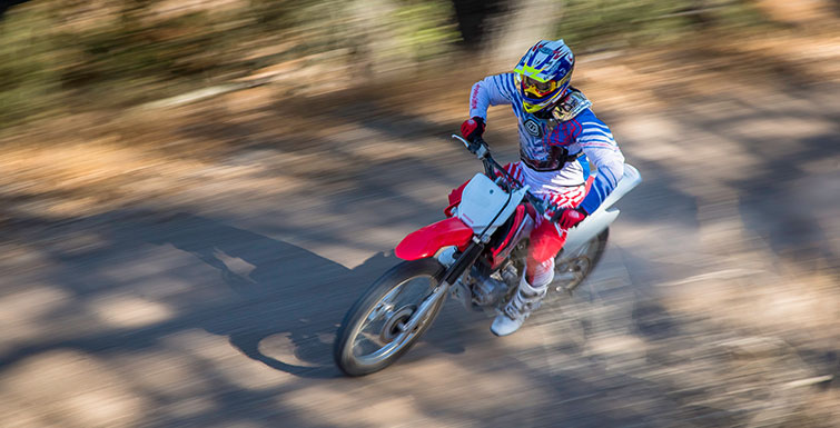 2019 Honda CRF230F in Spencerport, New York - Photo 2