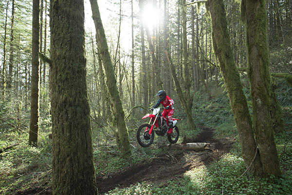 2019 Honda CRF450RX in Spencerport, New York - Photo 11