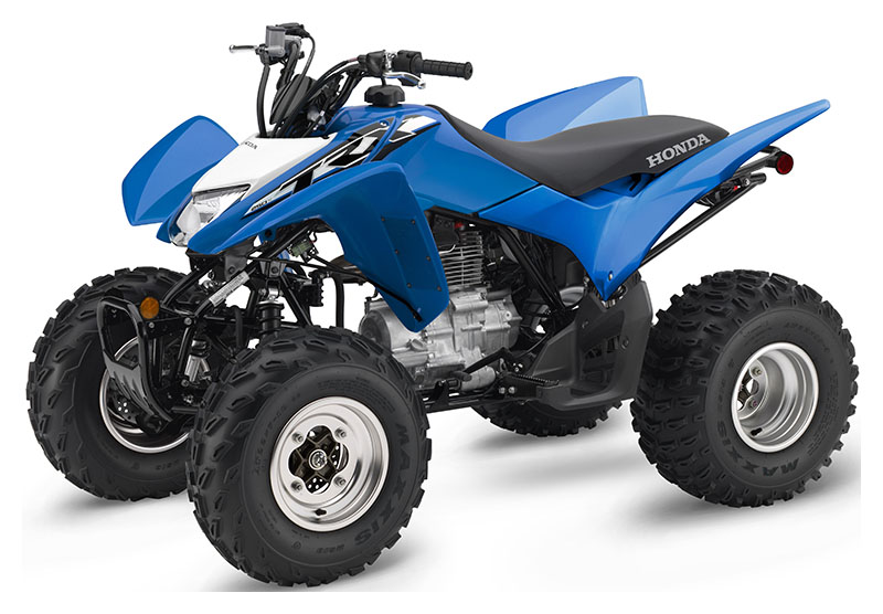 2020 Honda TRX250X in Spencerport, New York