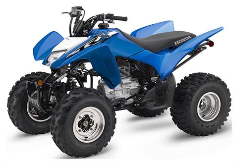 2020 Honda TRX250X in Spencerport, New York