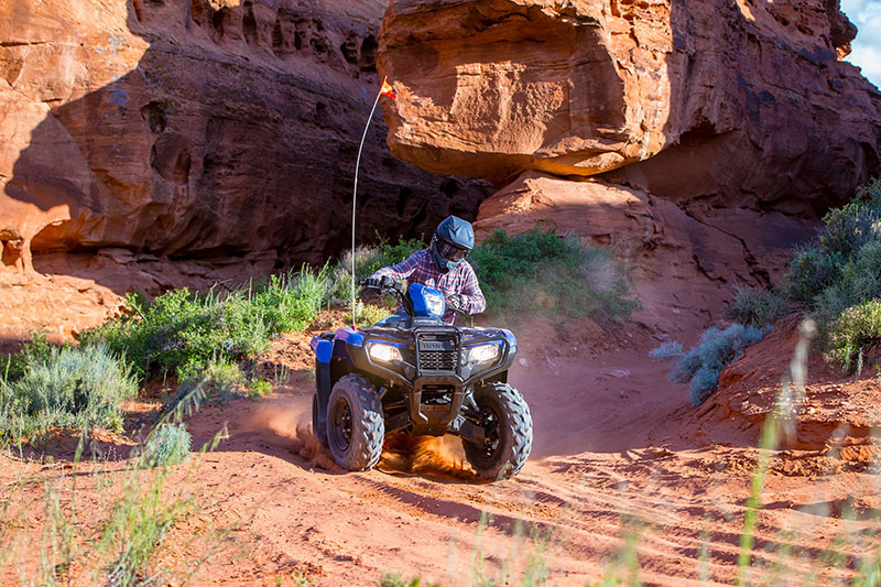 2021 Honda FourTrax Foreman 4x4 EPS in Spencerport, New York - Photo 10