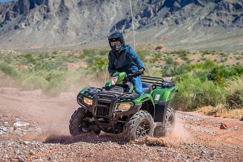 2021 Honda FourTrax Foreman Rubicon 4x4 Automatic DCT EPS Deluxe in Spencerport, New York - Photo 5