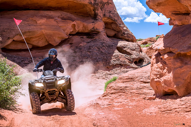 2021 Honda FourTrax Rancher in Spencerport, New York - Photo 6