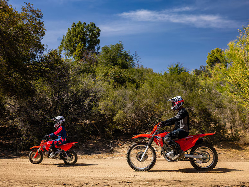 2025 Honda CRF50F in Spencerport, New York - Photo 6