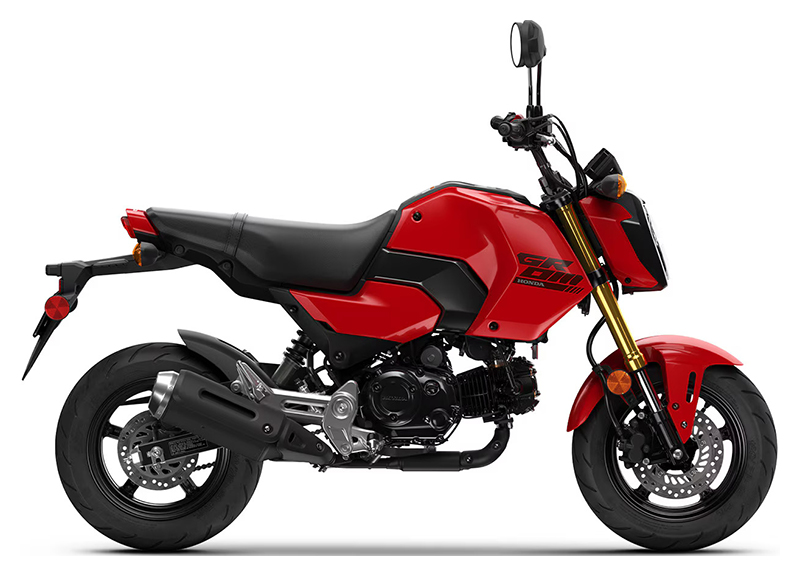 2025 Honda Grom in Spencerport, New York - Photo 1
