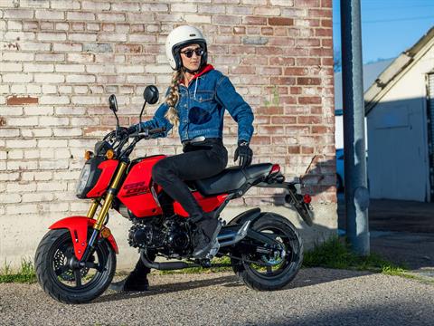 2025 Honda Grom in Spencerport, New York - Photo 6