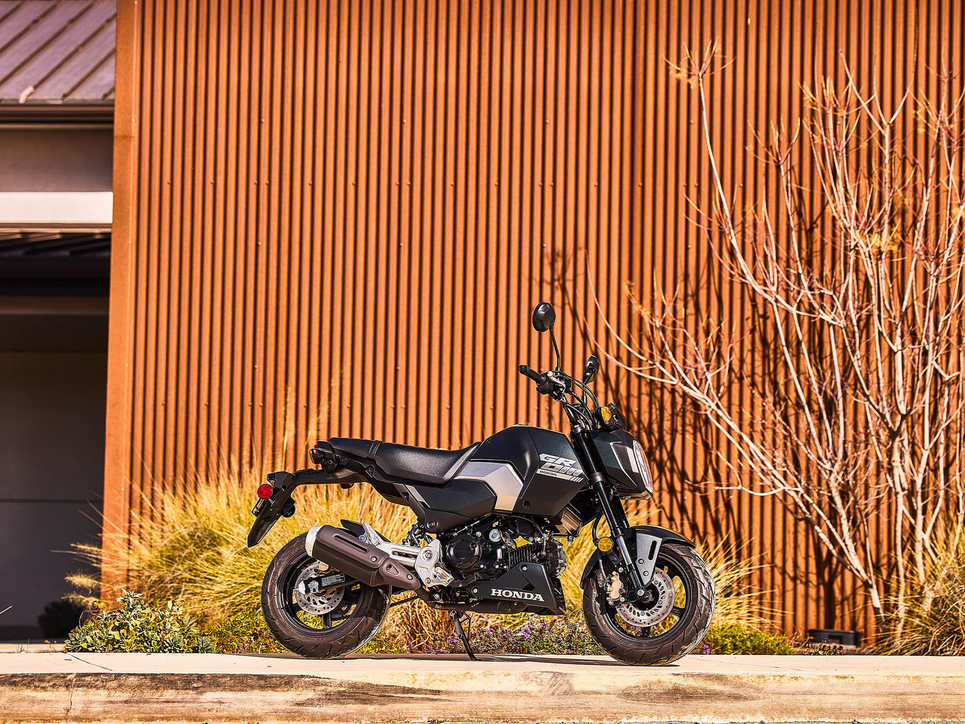 2025 Honda Grom in Spencerport, New York - Photo 8