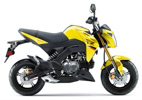 2022 Kawasaki Z125 Pro in Spencerport, New York