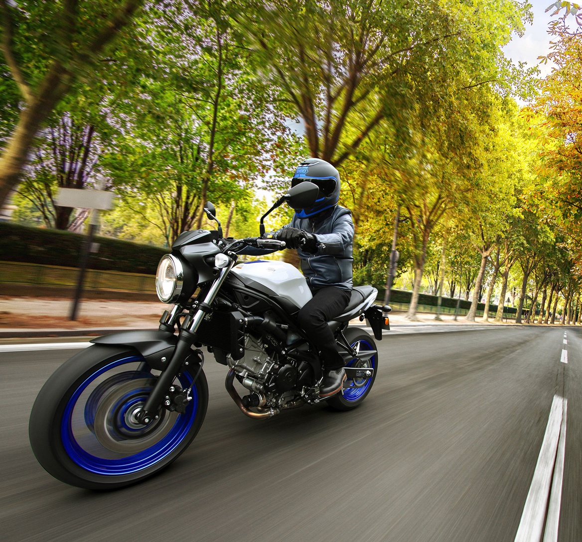 2017 Suzuki SV650 in Spencerport, New York