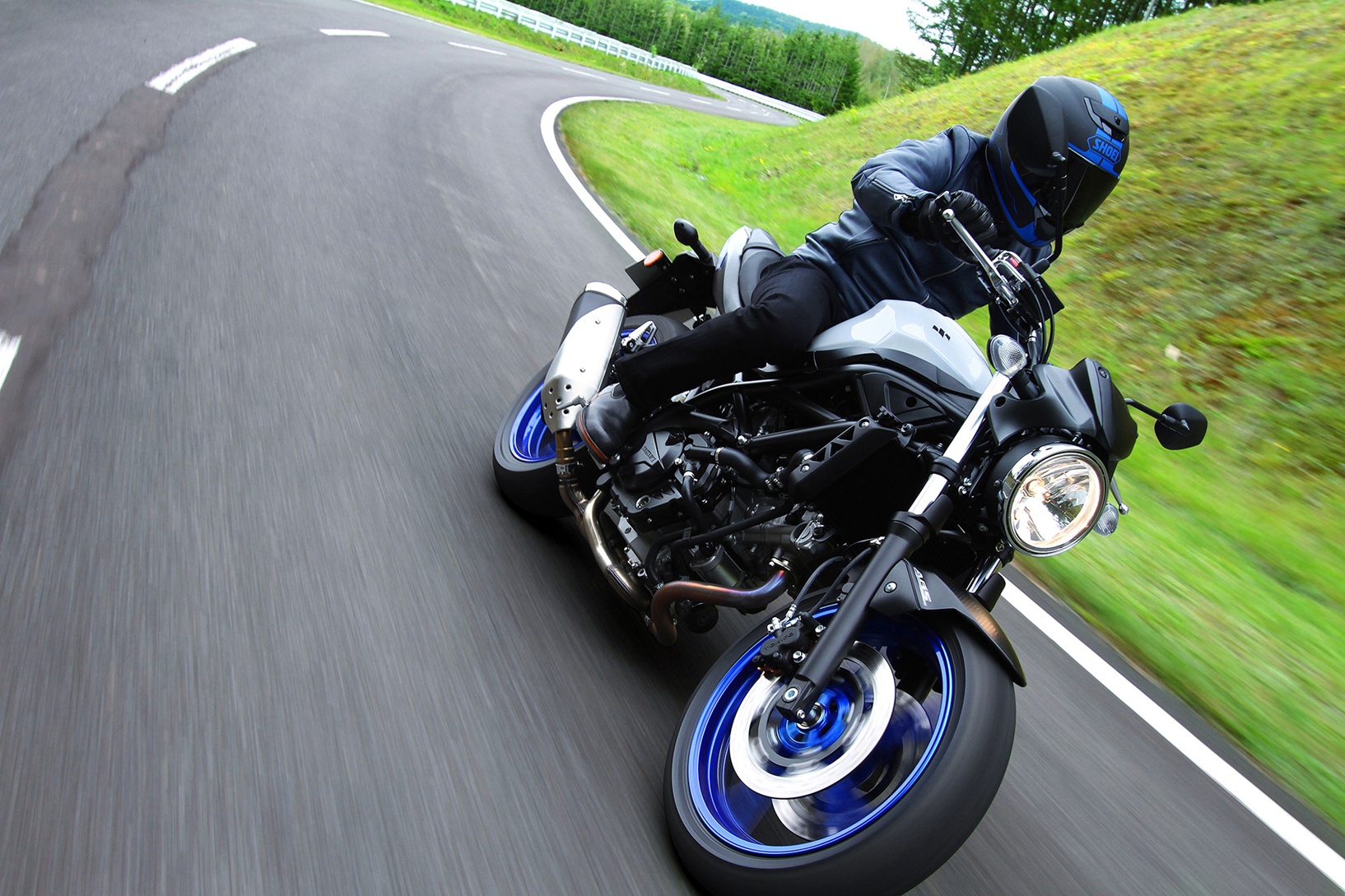 2017 Suzuki SV650 in Spencerport, New York
