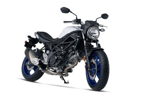 2017 Suzuki SV650 in Spencerport, New York