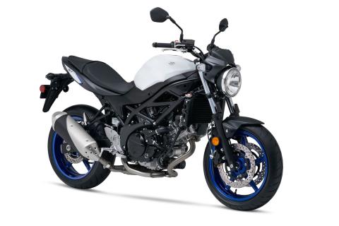 2017 Suzuki SV650 in Spencerport, New York
