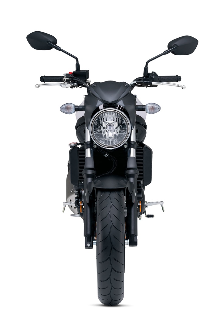 2017 Suzuki SV650 in Spencerport, New York