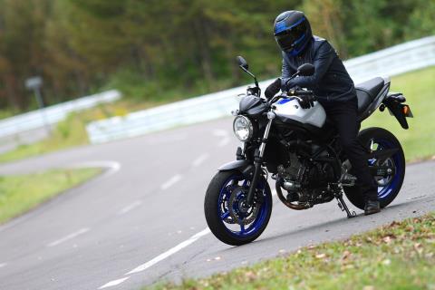 2017 Suzuki SV650 in Spencerport, New York