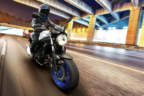 2017 Suzuki SV650 in Spencerport, New York