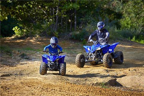 2022 Yamaha YFZ50 in Spencerport, New York - Photo 5